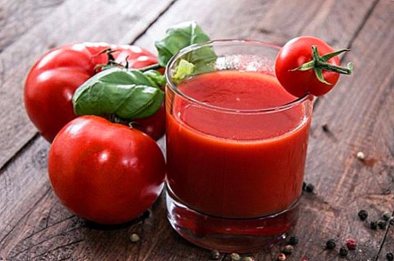 Krok za krokom recept na paradajkovú šťavu na zimu (s fotkou)