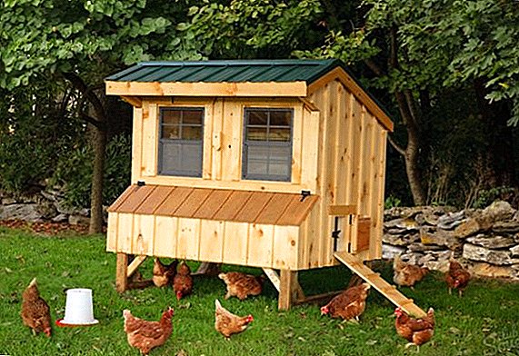 Practical advice on arranging a chicken coop with your own hands