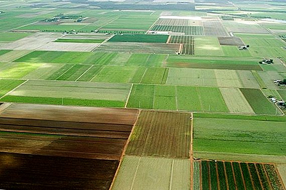 The Russian government called the regions with unfavorable conditions for agriculture