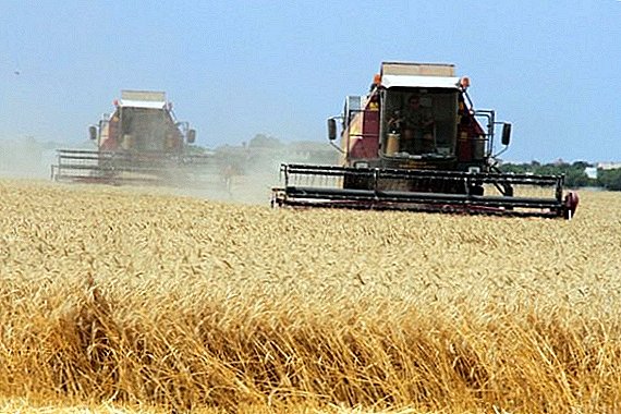 The government approved the procedure for maintaining the register of subsidies to agricultural producers