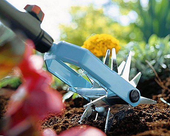 Advantages and disadvantages of a manual cultivator at the dacha