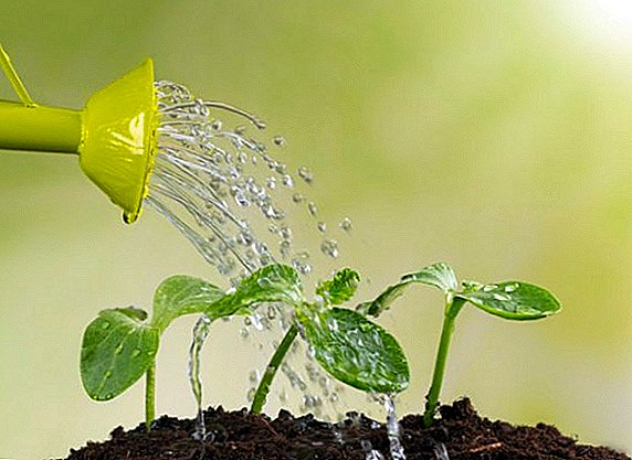 I benefici dell'utilizzo di un timer per l'irrigazione in giardino