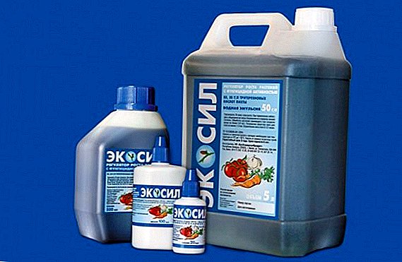 Drug "Ecosil": instructies voor gebruik voor verwerking