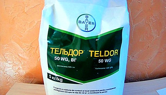Die Droge "Teldor": eine Beschreibung des Fungizids, Anweisungen