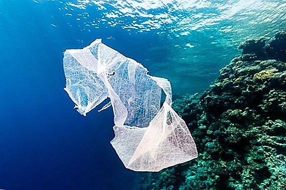 اقترح رئيس تركيا استخدام الأكياس البيئية للقنب بدلاً من الأكياس البلاستيكية