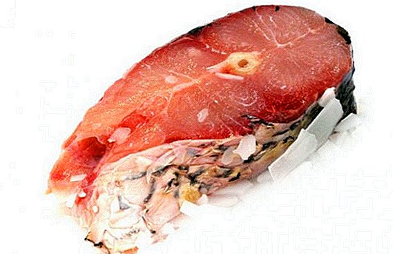 Preparación de la carpa china: las propiedades beneficiosas del pescado.