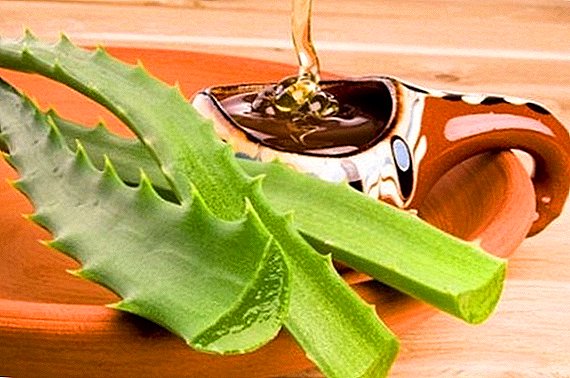 Användningen av aloe och honung i traditionell medicin för behandling av magen