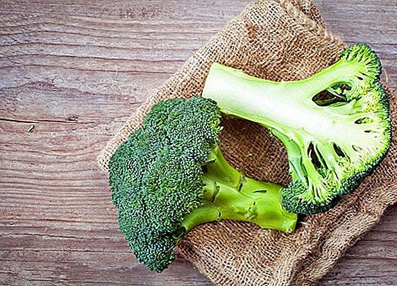 Utilizarea și utilizarea broccoli, beneficiile și răul