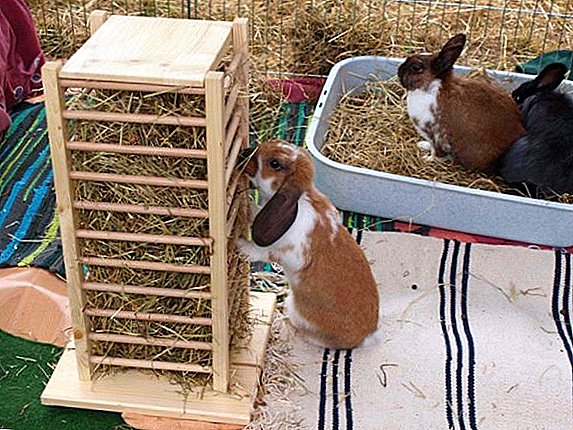 The manufacturing process and the use of hay feeders