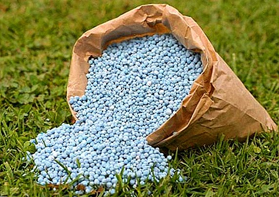 Production of bio-fertilizers in Ukraine expands