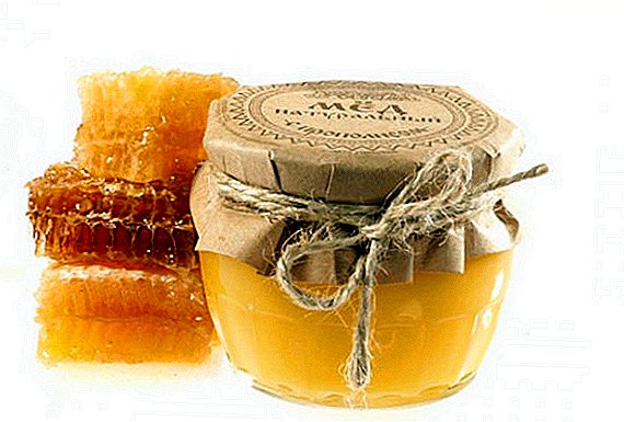 دنج مع العسل: ما هو مفيد ، ما يعامل ، وكيفية صنع ، حيث لتخزين