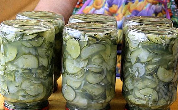 A simple step-by-step recipe for sliced ​​cucumbers for the winter