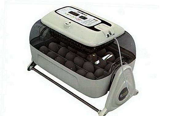 Vue d'ensemble de l'incubateur automatique pour œufs R-Com King Suro20