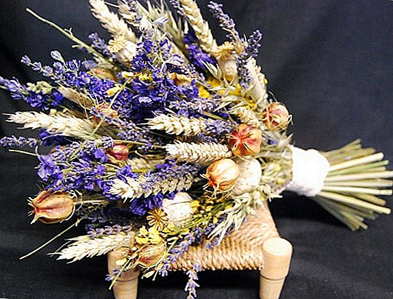 Dried flowers for winter bouquet