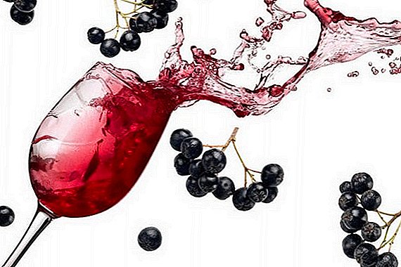 وصفة لالنبيذ الأسود chokeberry محلية الصنع