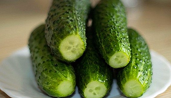 Recipe for crispy salted cucumbers at home (in jars)