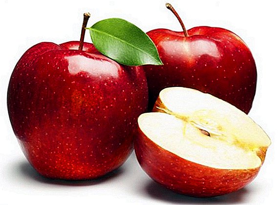 Recepty a zvláštnosti vaření nakládaných jablek na zimu
