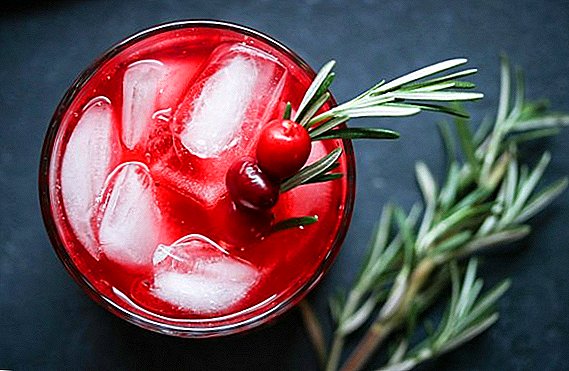Recipes for cranberry liqueurs on moonshine