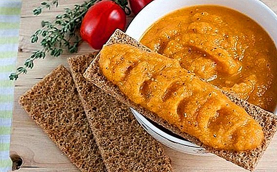 Recipes for cooking caviar of squash for the winter