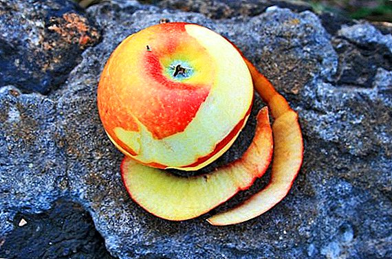 Recepti praznih jabolk za zimo