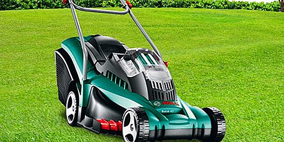 Do-it-yourself lawnmower repair: the main causes of problems and their elimination