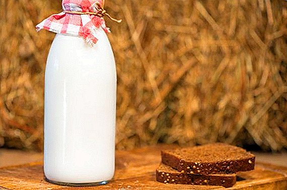 Produk susu Rusia akan diuji sesuai dengan standar Eropa.