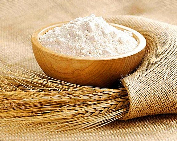 Russia has sufficient volumes of high-quality flour for bread production.