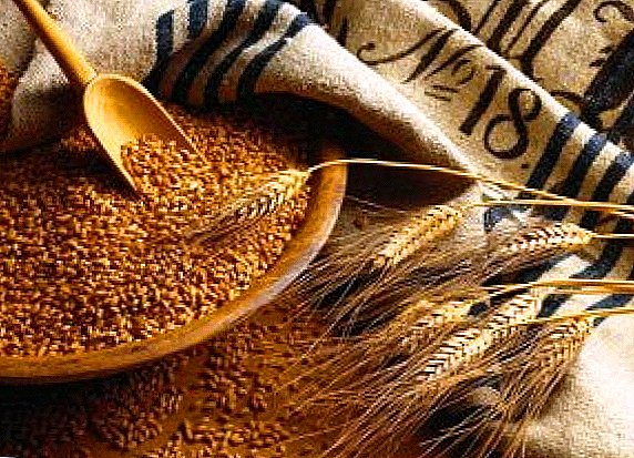 Le rouble russe renforcé et retardé les exportations de blé