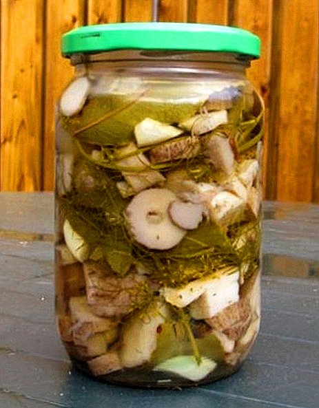 Pickled margins: cooking recipes and beneficial properties of mushrooms