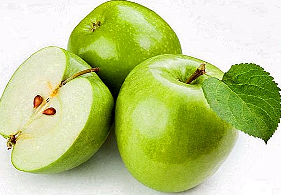 Vědci ze Samary pijí čaj z jednorázové sady jablek