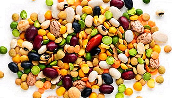 The most popular bean products: description and benefits