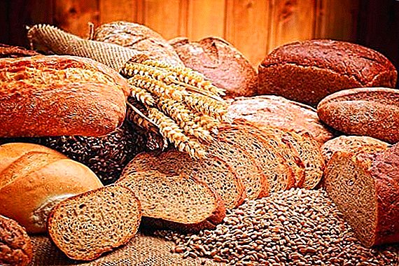 The most expensive bread baked in the UK
