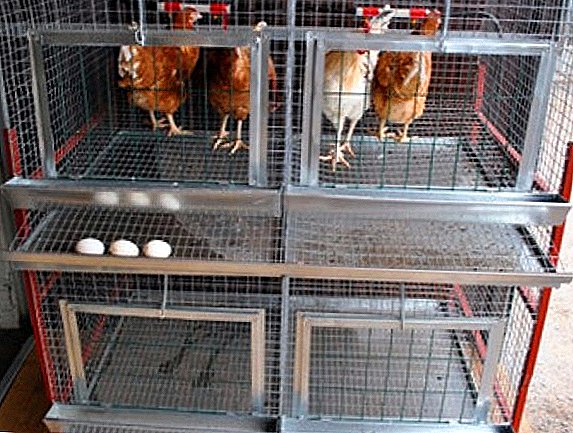 Self-made poultry cages