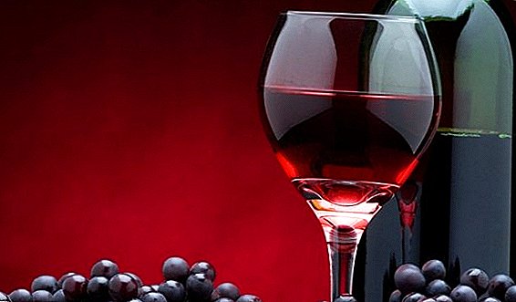 Secrets and recipes for making wine "Isabella" at home