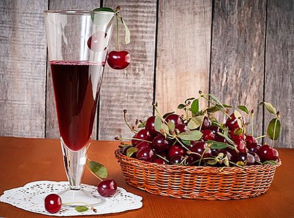 Secrets of making cherry liqueurs at home