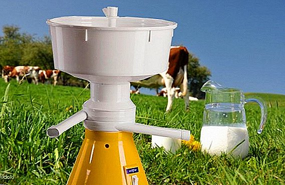 Separator mleka: Vrste, načela delovanja, operativna pravila