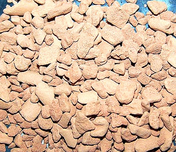 "Ceramis", sol granulé pour la culture de plantes