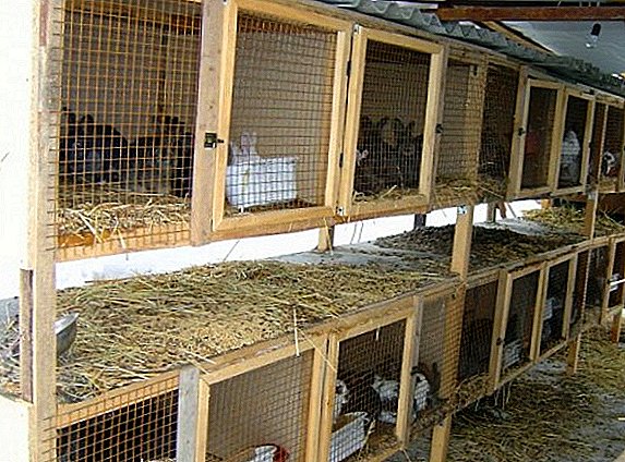 Faire des lapins, comment faire un hangar pour un lapin de ses propres mains