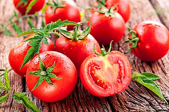 Ordningen med å plante tomat i drivhuset og friluftsområdet