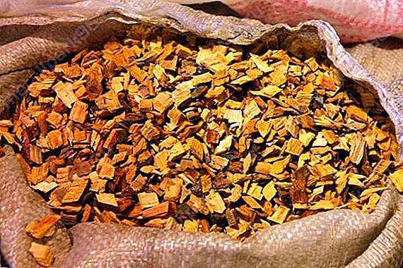 Chips for smoking: the choice of wood, harvesting, the use of flavors