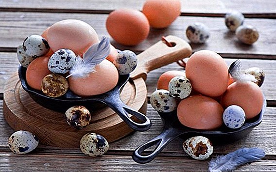 Raw eggs: benefit or harm