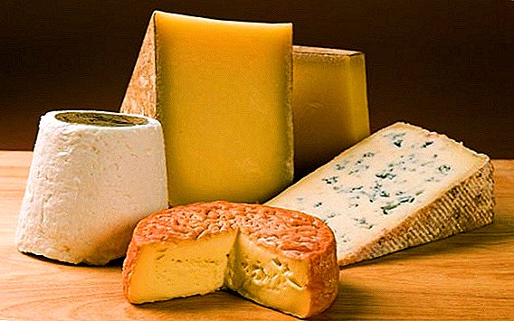 "Zilele săptămânii de brânză". Australienii susțin că calendarul advent poate fi făcut nu numai din ciocolată.