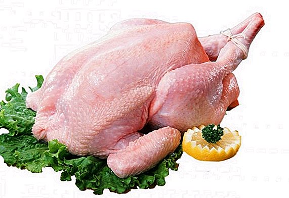 Có bao nhiêu con gà tây phát triển để giết mổ và làm thế nào để ghi được một con gà tây