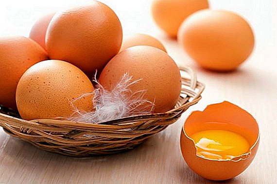 Koliko teži jedno jaje