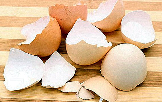 قشور البيض: الفوائد والأضرار ، هل يمكنك تناول الطعام واستخدامه في الطب التقليدي