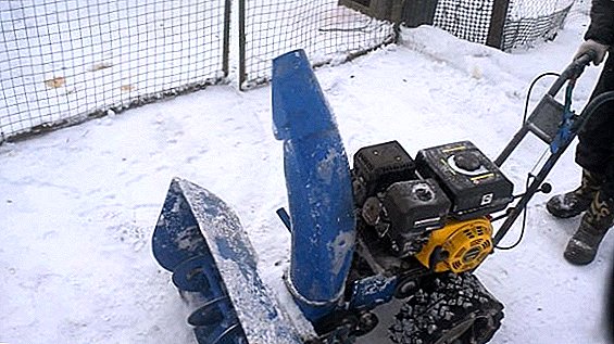 Do-it-yourself snow blower: materials, design, manufacturing