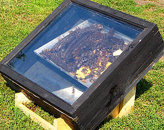 Solar wax do-it-yourself: step by step instructions