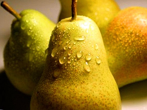 Variety of pears "Bere Bosc": characteristics, pros and cons