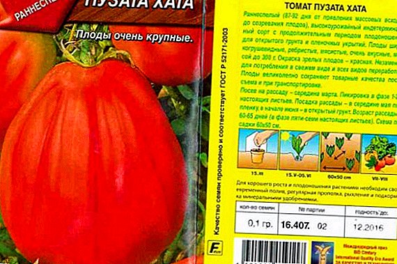 Tomat sort "Puzata hata": egenskaber, dyrkning agrotechnics