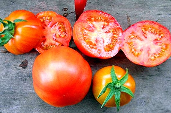 Tomatensorte "Aelita Sanka": Beschreibung und Anbaubedingungen
